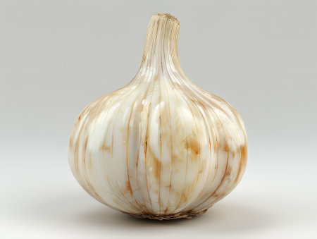 Minimalist stylized garlic bulb in soft lightingの素材