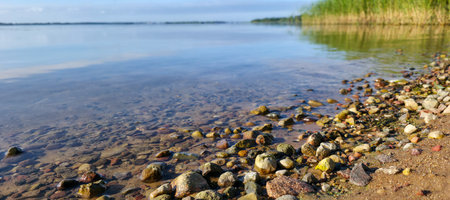 Sunrise light on wet lakeshore stones and clear water, grounding nature scene