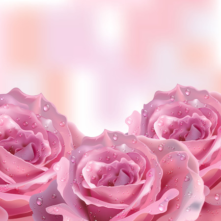 Background with roses vector Invitation cards Pink shineのイラスト素材