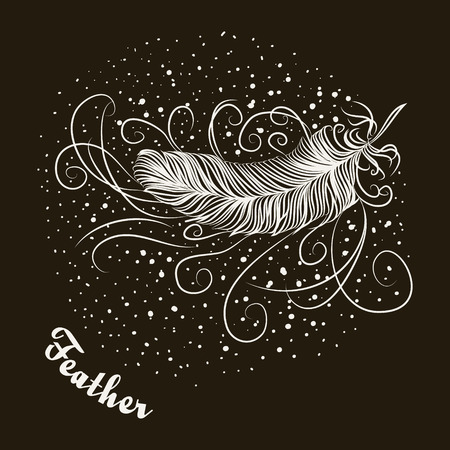 bird feather vector illustration of dark backgroundのイラスト素材