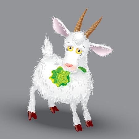 Goat vector on a gray background, in the teeth of lettuce leafのイラスト素材