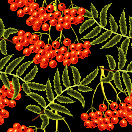 Red rowan berries seamless vector pattern. Template for designのイラスト素材