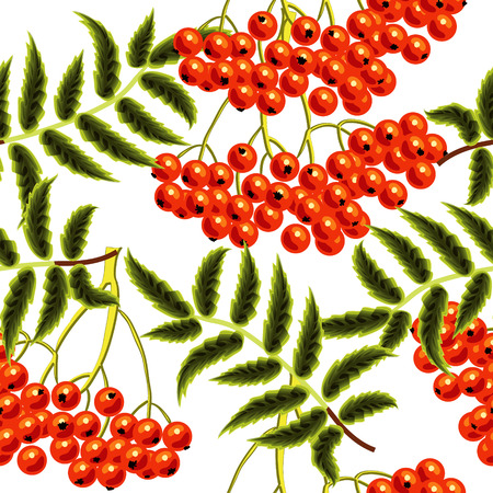 Red rowan berries seamless vector pattern. Template for designのイラスト素材