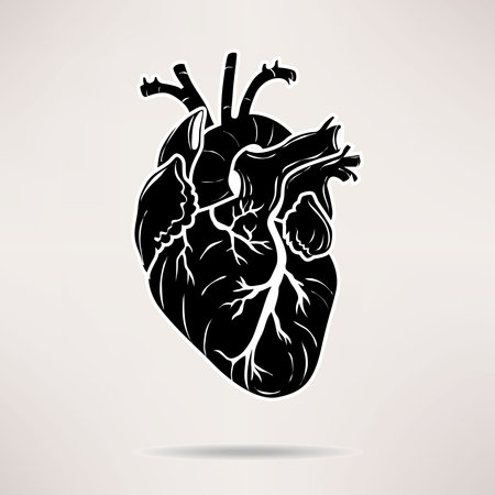 Icon Body heart icon. On the white background. Vector illustrationのイラスト素材
