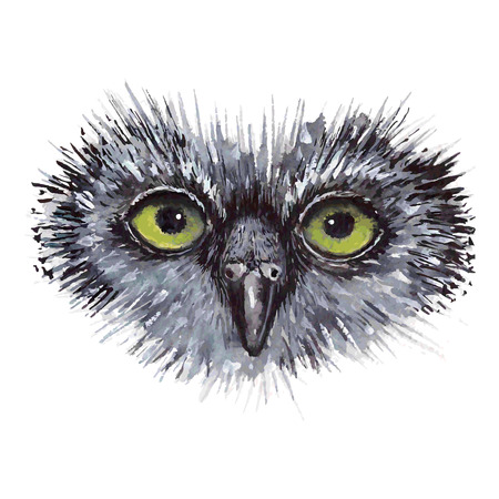 Face owl concept design. Bird are isolated on white backgroundのイラスト素材