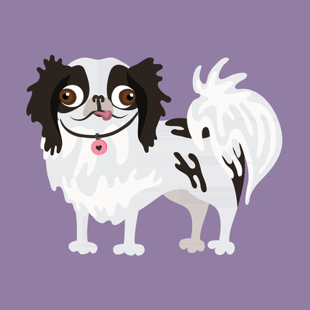 Japanese Chin. Vector illustration of a dogのイラスト素材