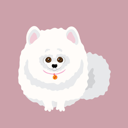 Japanese Spitz. Vector illustration of a dogのイラスト素材