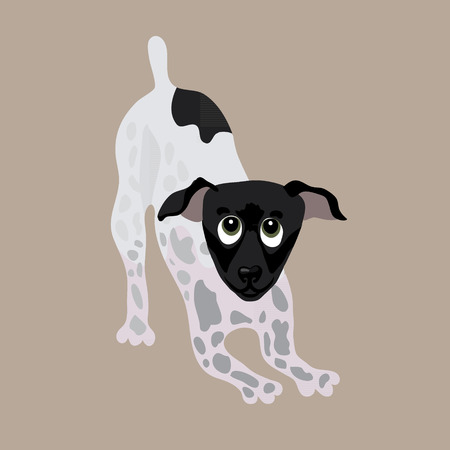 Japanese Terrier. Vector illustration of a dogのイラスト素材