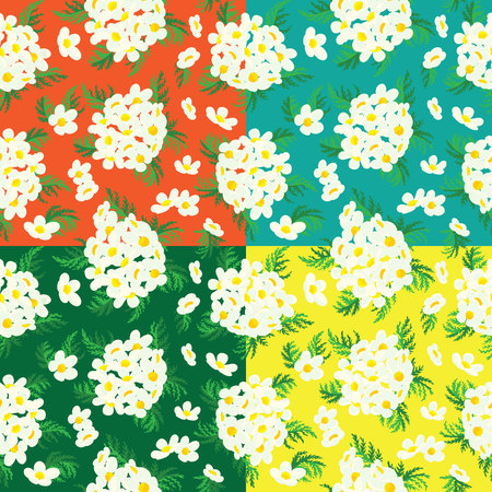 Seamless floral pattern of camomile.の写真素材