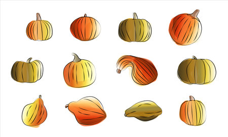 Set watercolor pumpkins. Vector illustration in watercolor painting style. Design elements for Thanksgiving Day or harvest festival. Holiday painted illustration isolated on white background.のイラスト素材