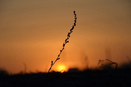 Sunsetの写真素材