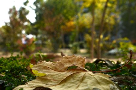 fall seasonの写真素材