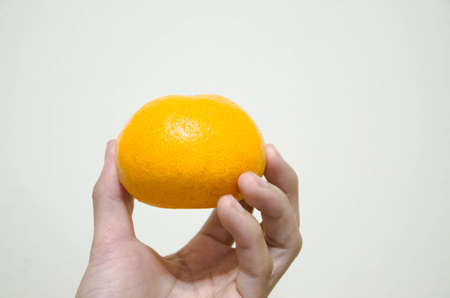 Orange on the hand の写真素材