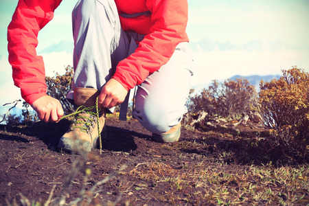 young woman hiker tying shoelace of hiking boots on mountain peakの写真素材