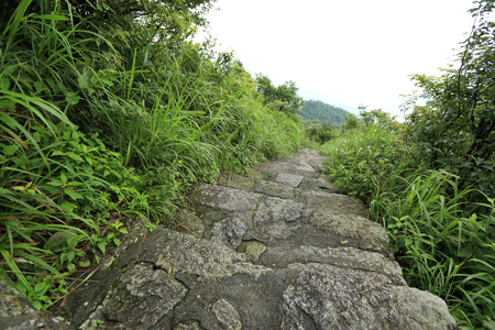 hiking trail on mountainの写真素材
