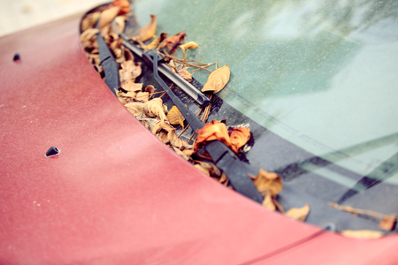 autumn fall leaves on dumped car windshieldの写真素材