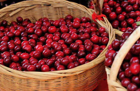 red fresh cherry fruitsの写真素材