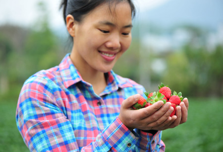 Woman holding strawberry in handの写真素材
