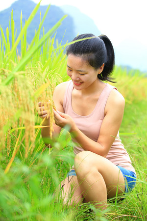 Young asian woman looking the rice grain at paddy field.の写真素材
