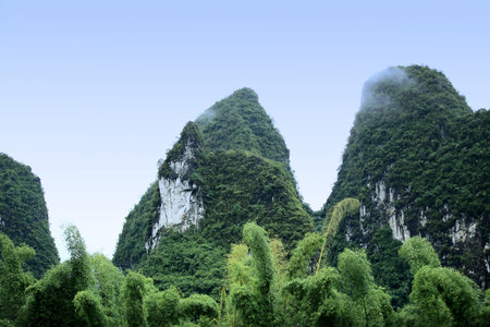 bamboo trees and hills in yangshuo.の写真素材