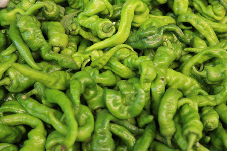 fresh green pepper selling on vegetable marketの写真素材