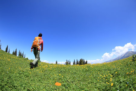 young woman backpacker hiking on beautiful mountain peakの写真素材