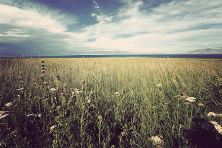 beautiful landscape with prairie and skyの写真素材