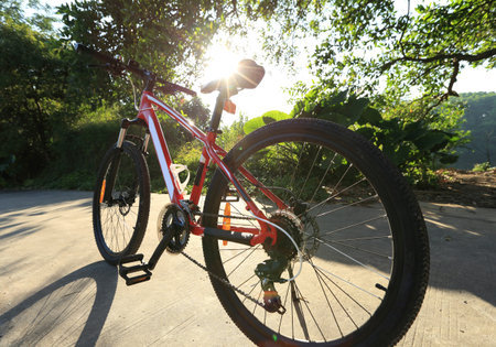 riding bike on forest trailの写真素材