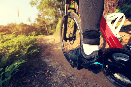 riding mountain bike on forest trialの写真素材