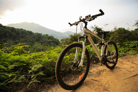 riding mountain bike on mountain forest trailの写真素材