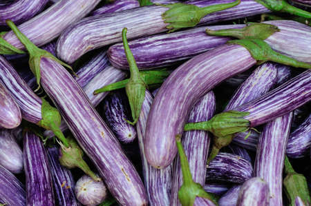 fresh eggplants selling at local marketの写真素材