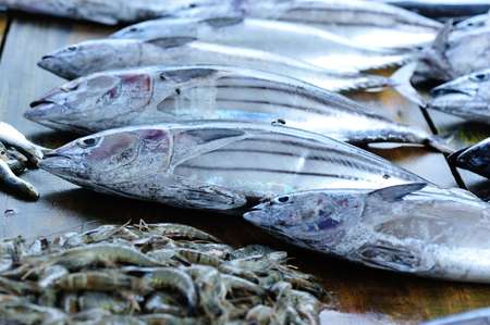 closeup of fresh fish selling on local marketの写真素材