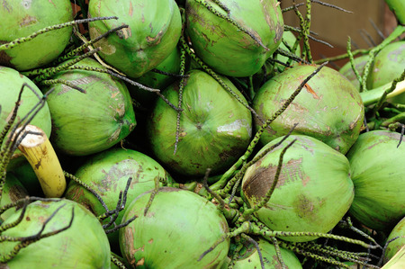 Coconuts Display For Sell On Small Streetの写真素材