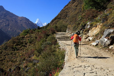 Young woman backpacker trekking at the himalaya mountainsの写真素材