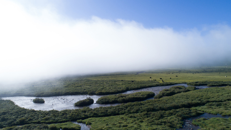 beautiful wetland under mist skyの写真素材