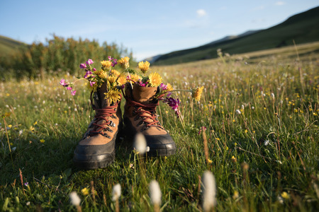 hiking boots with beautiful flowers in grassland mountains topの写真素材