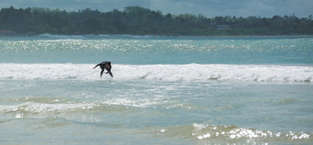 riding wave on surf board in ocean