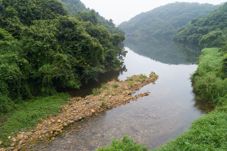 Aerial View of Small River in the Tropical Rainforest Mountains