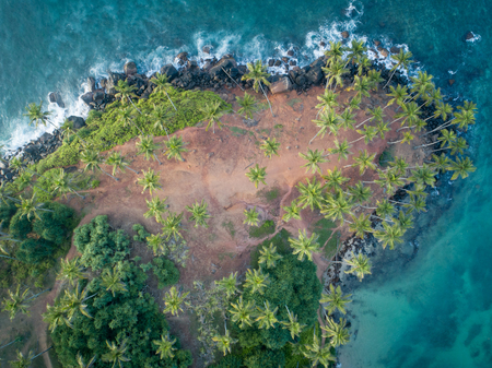 Aerial view of coconut trees at seaside the morning,Sri lankaの写真素材
