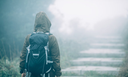 Go explore the mistery nature worldの写真素材