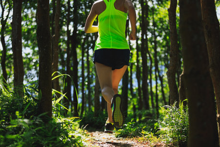 Young woman trail runner running in sunrise tropical forestの写真素材