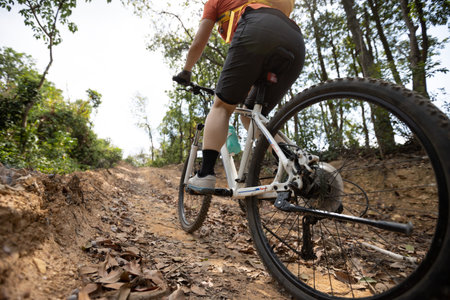 Woman cyclist cycling on mountain top forest trail