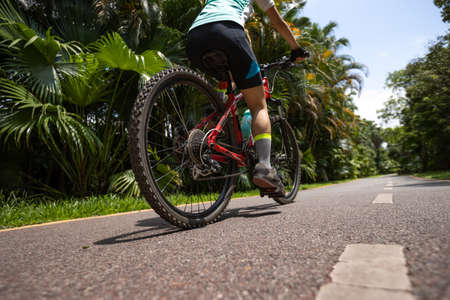 Woman riding a bike on tropical park trail in summerの写真素材