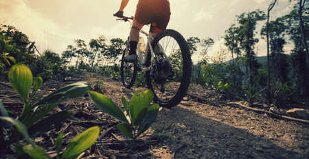 Woman cyclist cycling on mountain top forest trailの写真素材