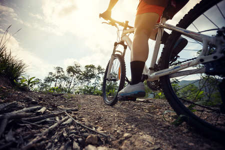 Woman cyclist cycling on mountain top forest trailの写真素材