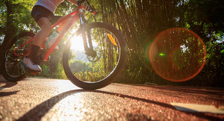 Woman cycling on bike path at sunrise parkの写真素材