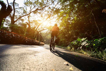 Woman cycling on bike path at park on sunny dayの写真素材