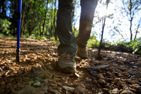 Legs hiking in summer forest mountain