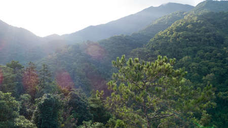 Aerial  view of the beautiful landscape of sunrise over summer mountainsの写真素材