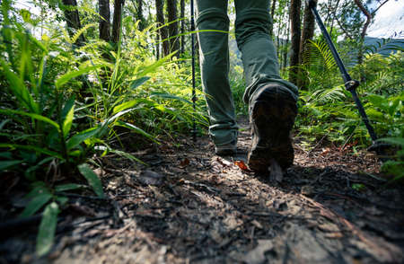 Legs hiking in summer forest mountainの写真素材